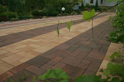 Libet Modulo Colormix