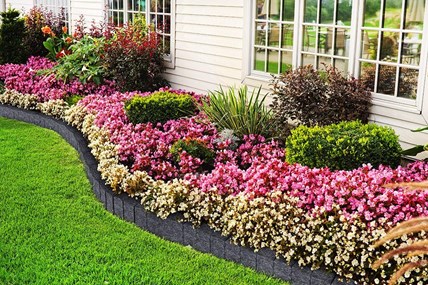 Jadar Palisada Łupana Antyk 15x35x10cm