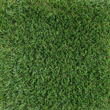 Sztuczna trawa Brava 4 m