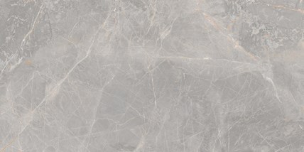 Goliat Płyta gresowa Litos 120x60x2 cm