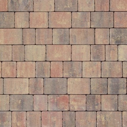 Certus Panteon 6 cm colormix