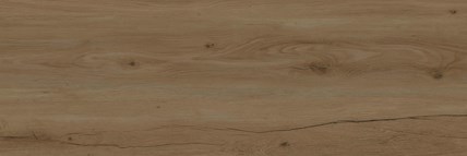 Goliat płyta gresowa Corax wood 120x40x2 cm