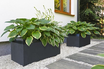 Jadar Donica ogrodowa gama grande B 50x100 h=50