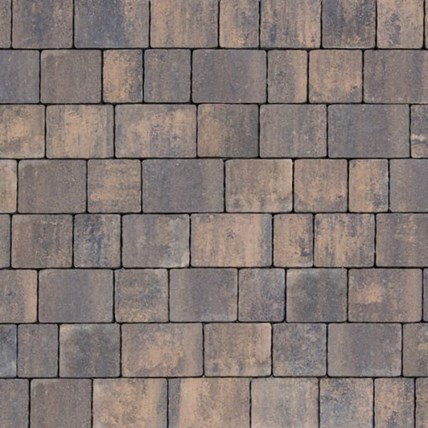 Certus Panteon 6 cm colormix