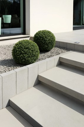 Certus VERTICAL No° 80