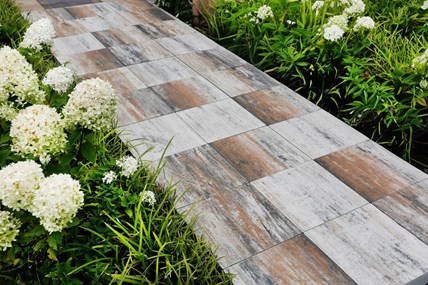 Jadar Płyta Metropoli