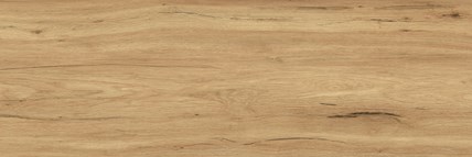 Goliat płyta gresowa Corax wood 120x40x2 cm