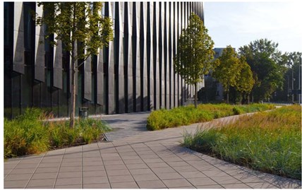 Certus Płyta Chodnikowa antysmogowa