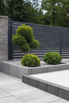 Certus VERTICAL No° 80