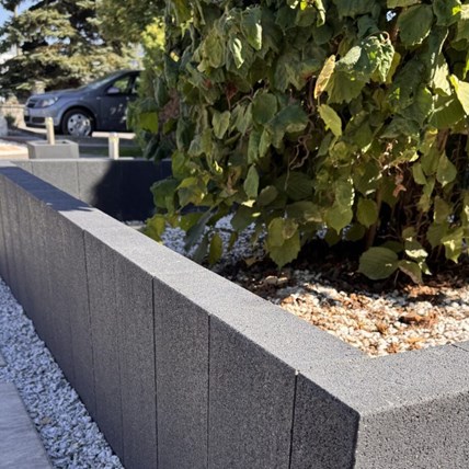 Pater Palisada Grand 60 cm