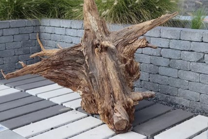 Libet Vertigo Lungo Monocolor