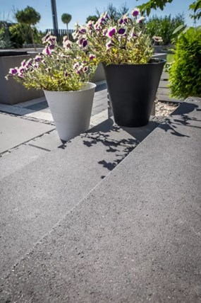 Libet stopień schodowy Maxima