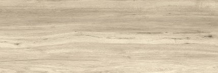 Goliat płyta gresowa Corax wood 120x40x2 cm