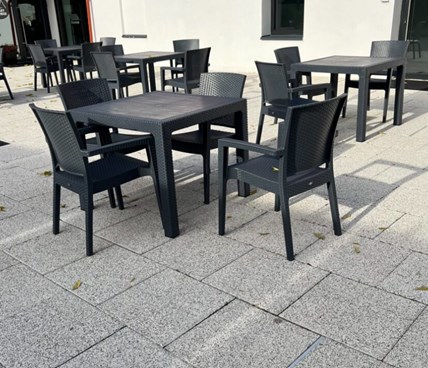 Pater Płyta brukowa - Szlachetna 5x35x35 cm