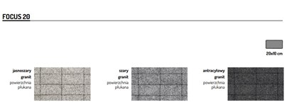 Certus Focus 20 gr 6 cm ( Holland płukany )