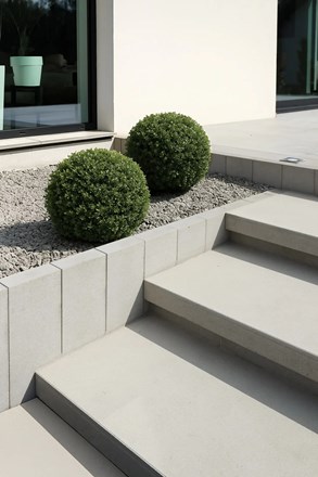 Certus Vertical No°  30