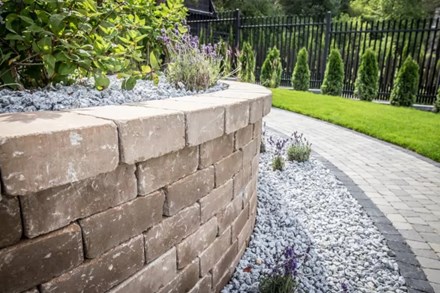 Libet  Natulit Massimo