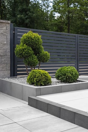 Certus Vertical No° 50