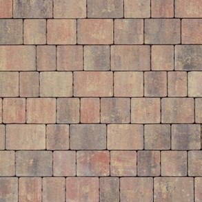 Certus Panteon 6 cm colormix