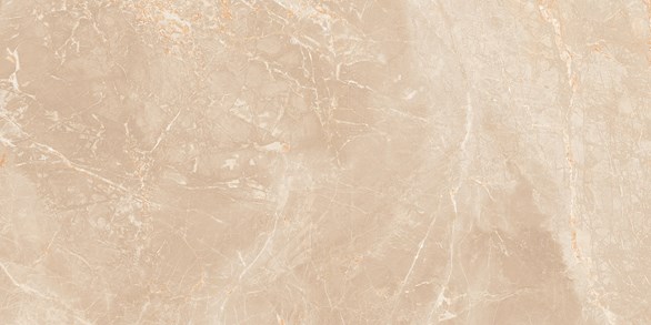 Goliat Płyta gresowa Litos 120x60x2 cm