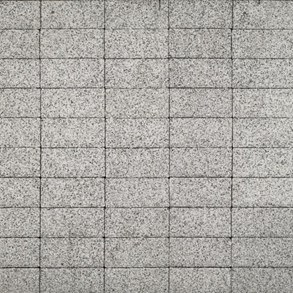 Certus Focus 20 gr 8 cm ( Holland płukany )