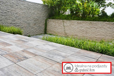 Jadar Płyta Metropoli