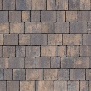 Certus Panteon 6 cm colormix