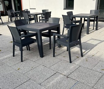 Pater Płyta brukowa - Szlachetna 5x35x35 cm