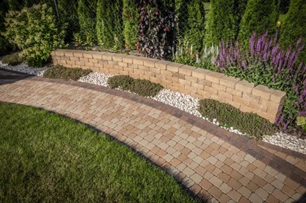 Libet  Natulit Massimo