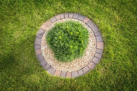 Libet Piccola Colormix