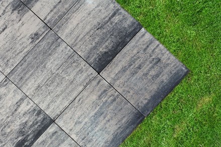 Jadar Płyta Metropoli